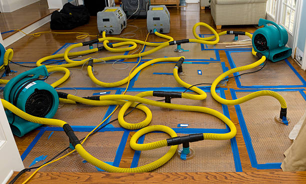 Professional Basement Flood Cleanup technician working in Edgewood, WA